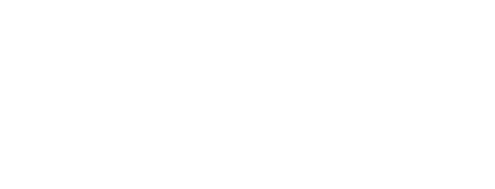 Mother Lode Holding Company